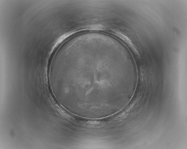 X0000116051176200911201400