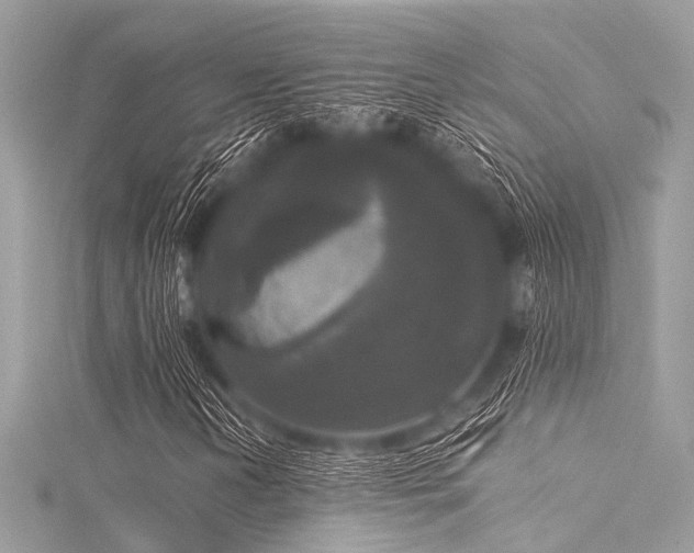 X0000116051202200911201359