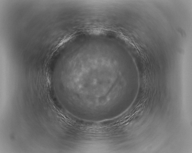 X0000116051206200911201359