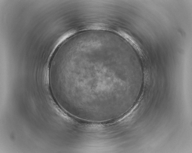 X0000116051238200911201359