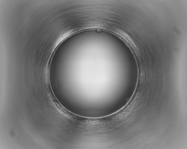 X0000116051242200911201359