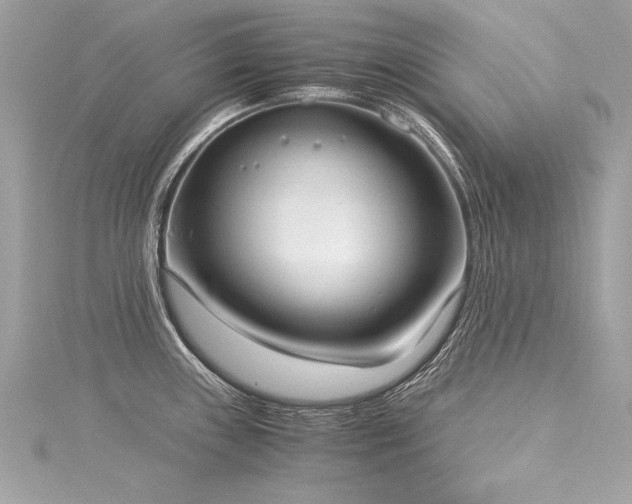 X0000116051243200911201359