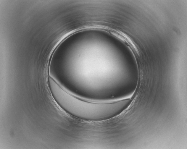 X0000116051244200911201359