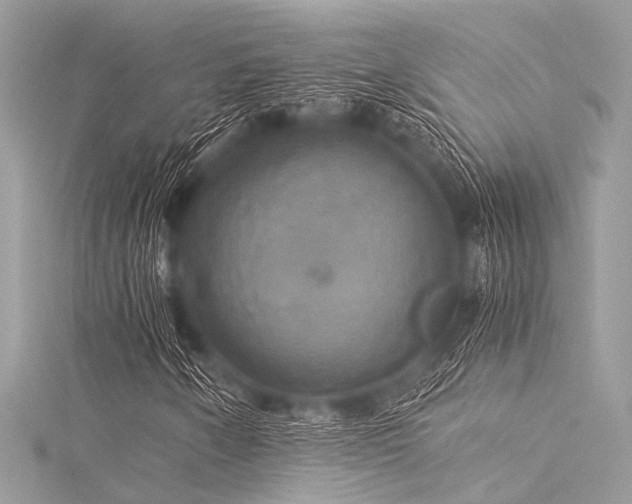 X0000116051250200911201359