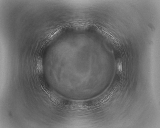 X0000116051252200911201359