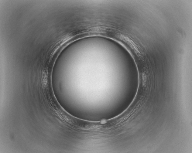 X0000116051260200911201358