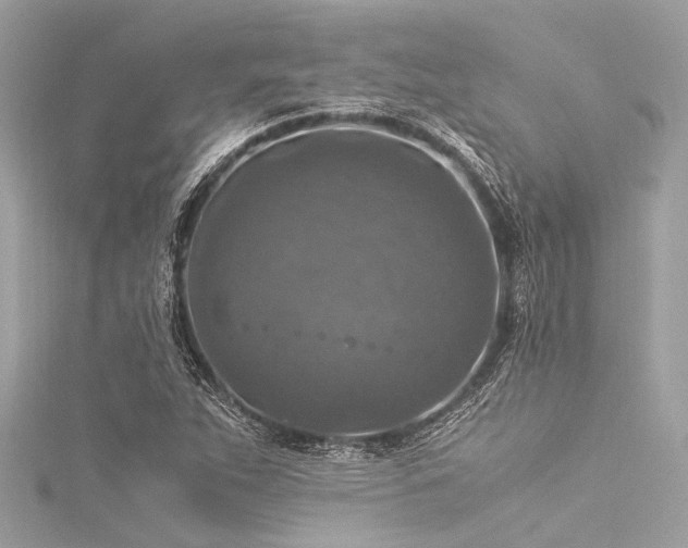 X0000116051263200911201358