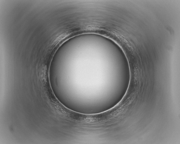 X0000116051265200911201358