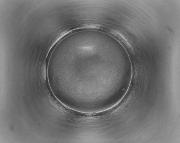 X0000116051276200911201358