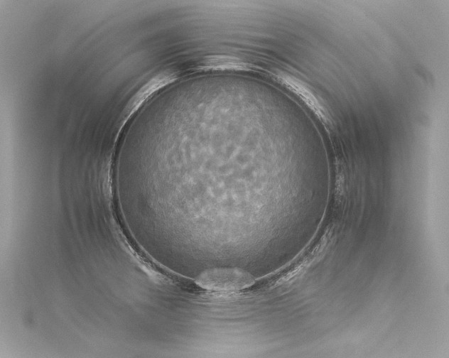 X0000116051282200911201358