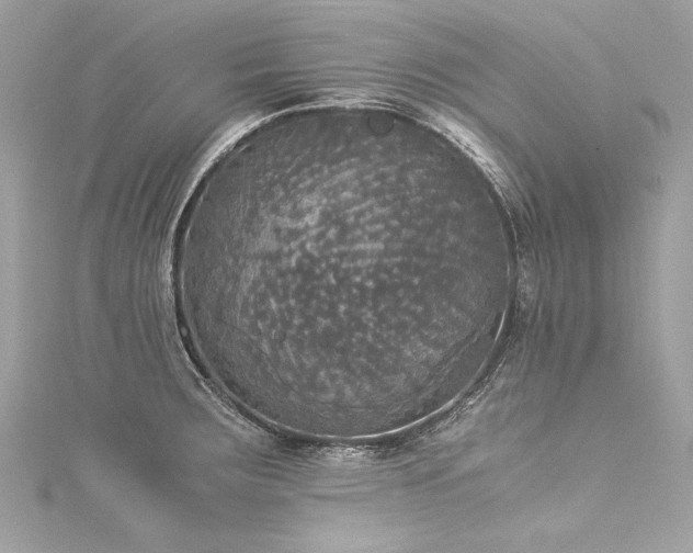 X0000116051283200911201358