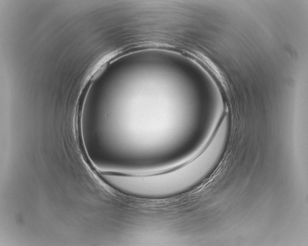 X0000116051293200911201358