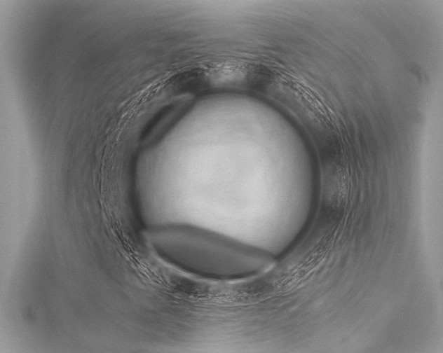 X0000116051345200911201357