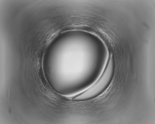 X0000116051353200911201357