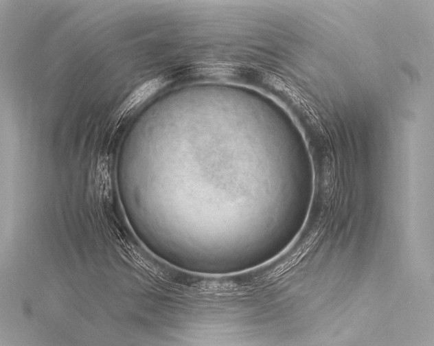 X0000116051354200911201357