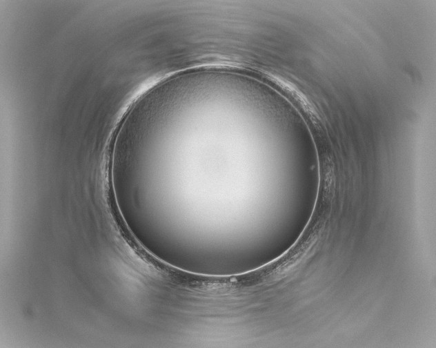 X0000116051375200911201357