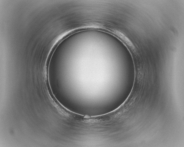 X0000116051380200911201357
