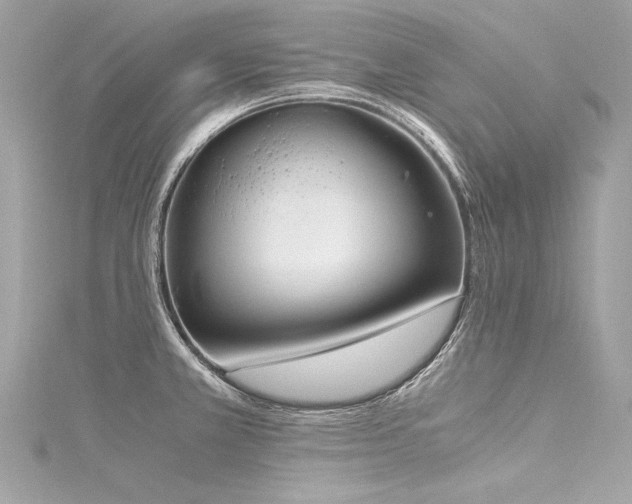 X0000116051381200911201357