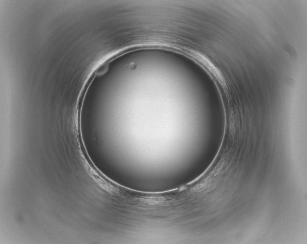 X0000116051388200911201357