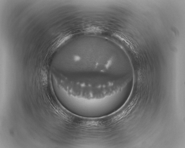 X0000116051401200911201356
