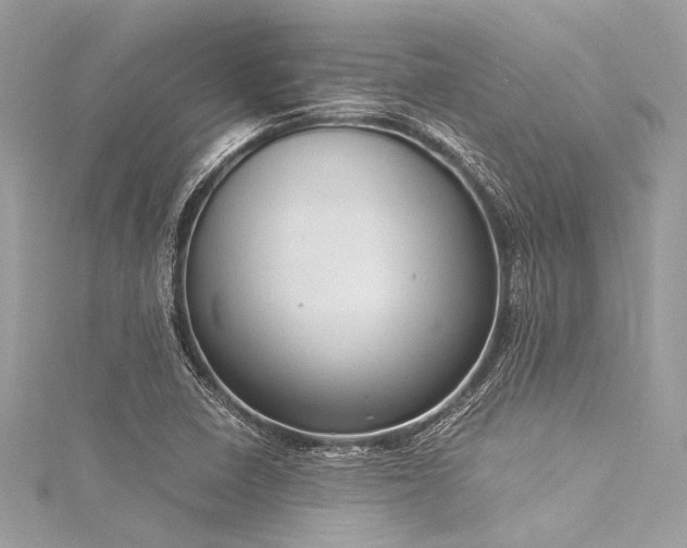 X0000116051410200911201356
