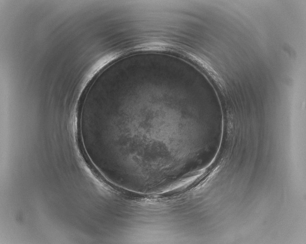 X0000116051418200911201356