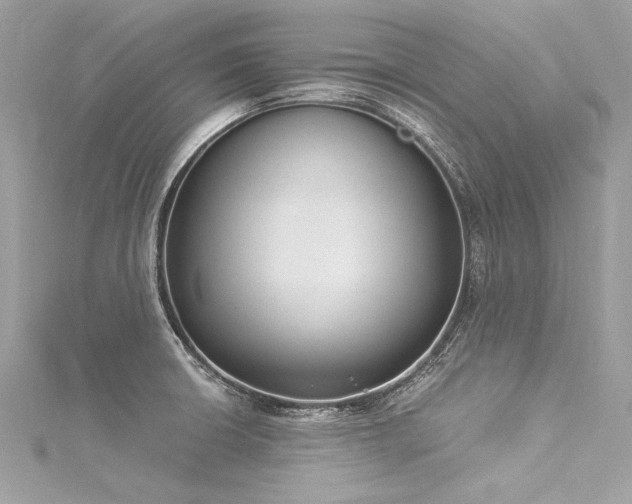 X0000116051426200911201356