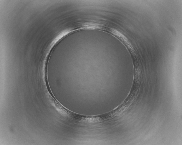 X0000116051427200911201356