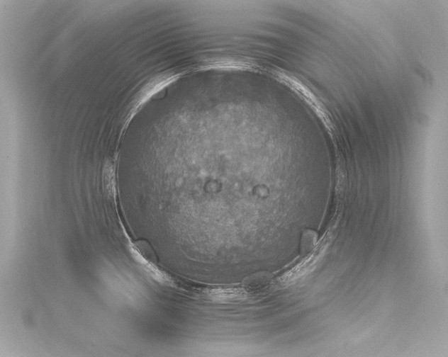 X0000116051433200911201356