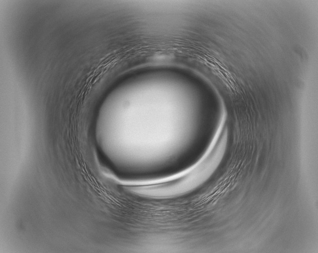X0000116051441200911201356