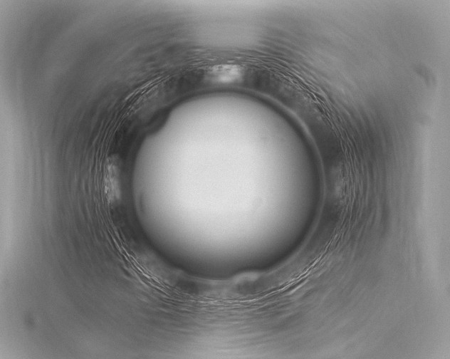 X0000116051442200911201356