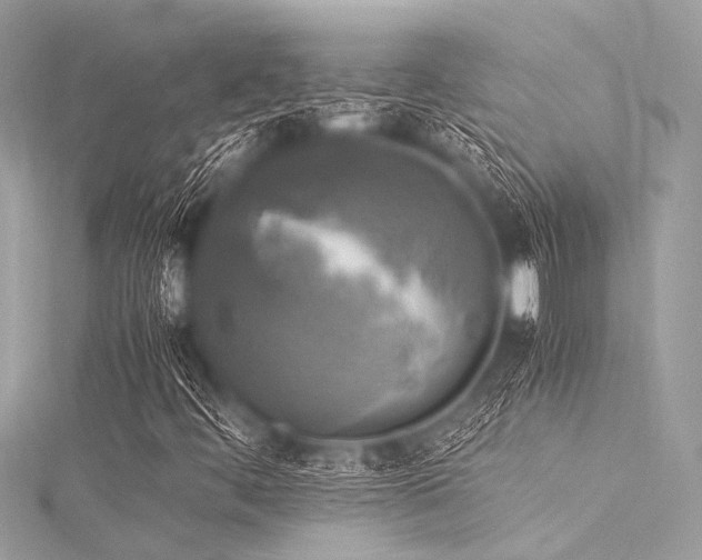 X0000116051444200911201356