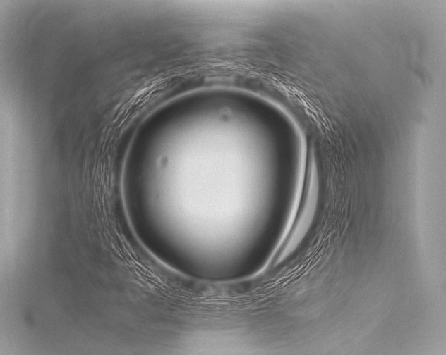 X0000116051445200911201356