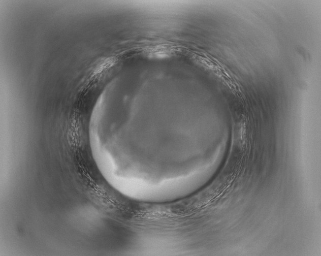 X0000116051446200911201356