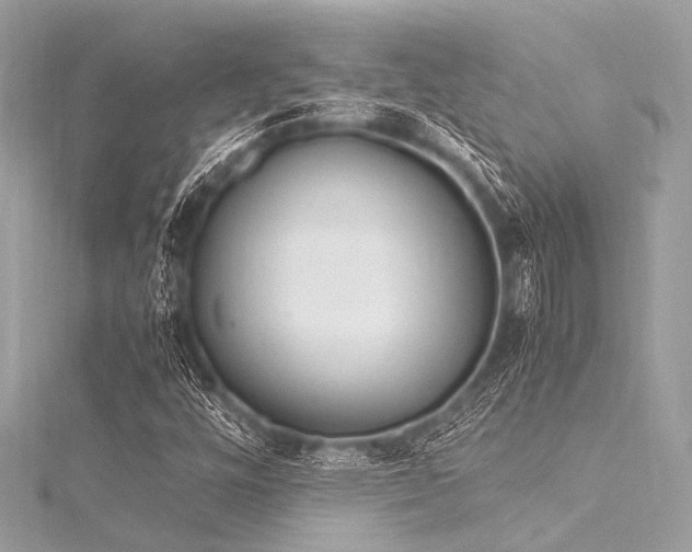 X0000116051448200911201356