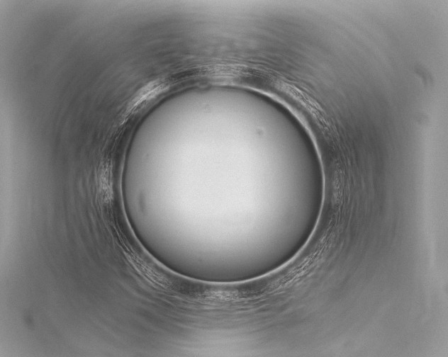 X0000116051451200911201356