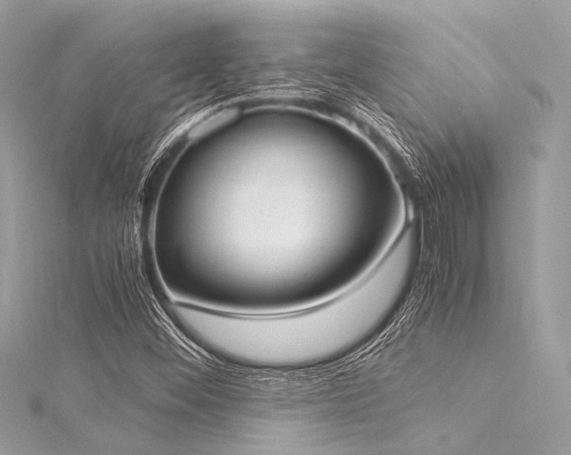 X0000116051452200911201356