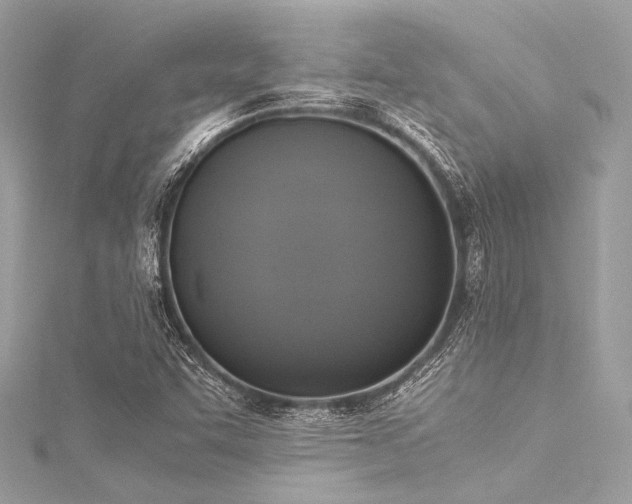 X0000116051455200911201356
