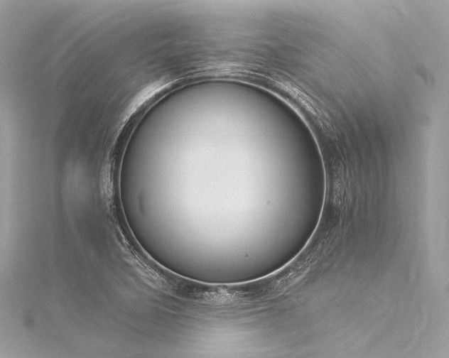 X0000116051458200911201356