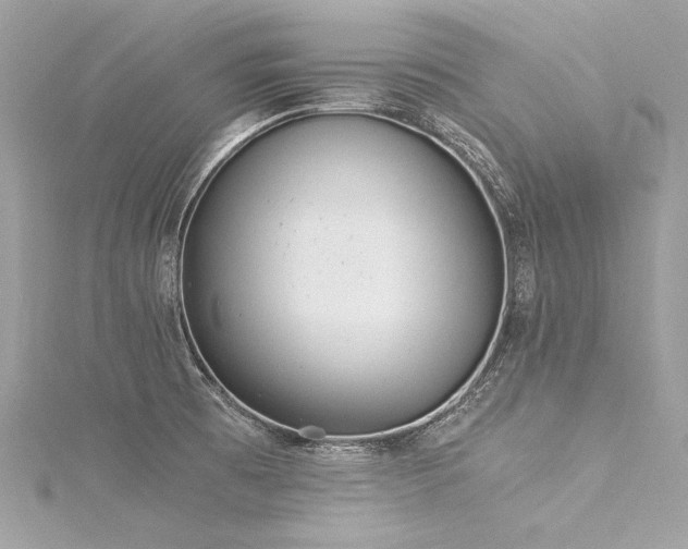 X0000116051473200911201355