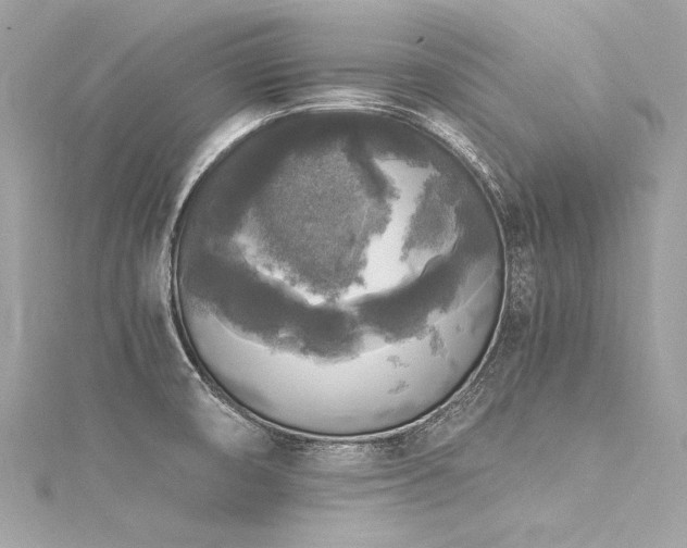 X0000116051474200911201355