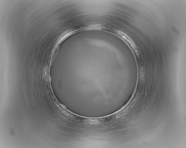X0000116051481200911201355