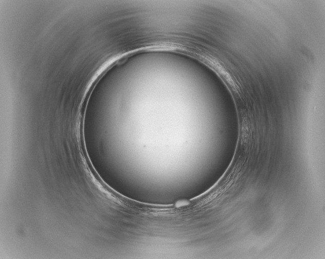 X0000116051484200911201355