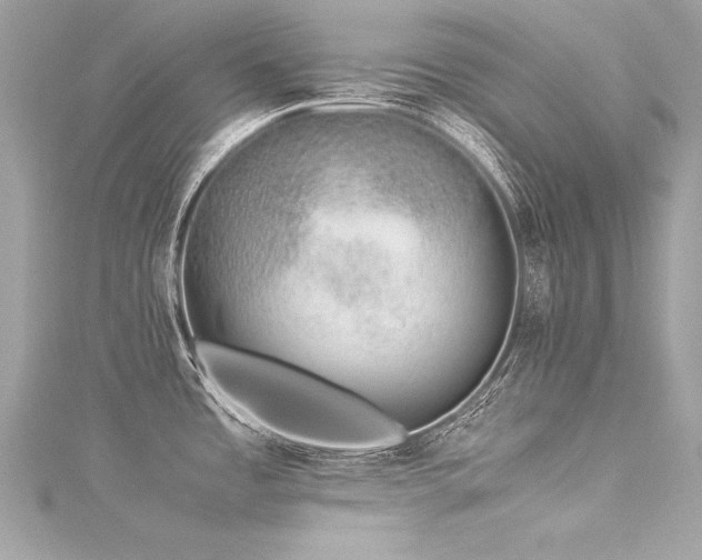 X0000116051485200911201355