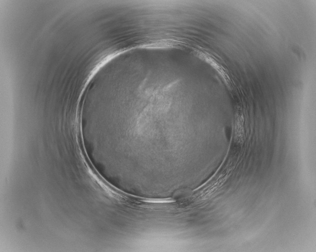 X0000116051487200911201355