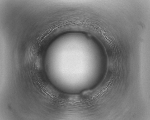 X0000116051490200911201355