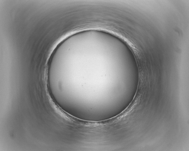 X0000116051526200911201355