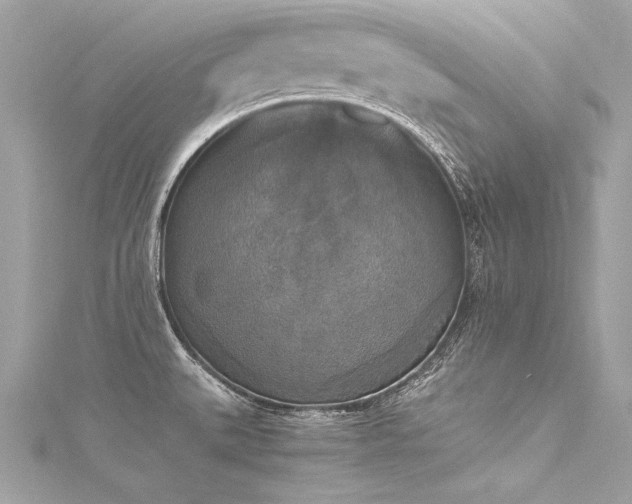 X0000116051527200911201355