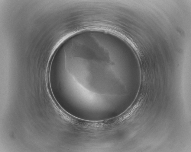 X0000116051533200911201355