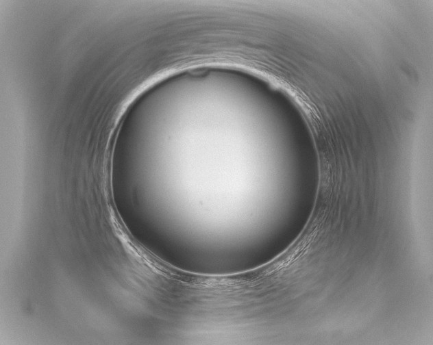 X0000116051534200911201355